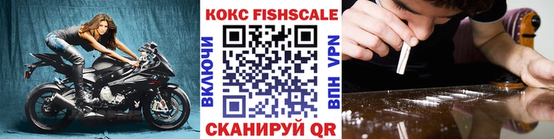Кокаин FishScale  купить закладку  Зея 