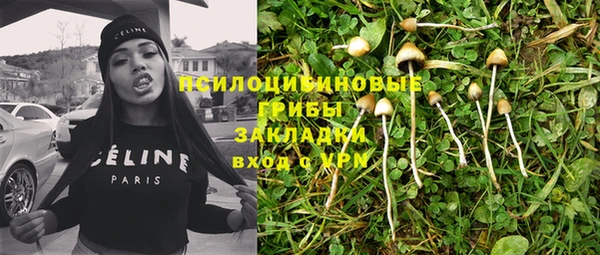 стафф Алексеевка