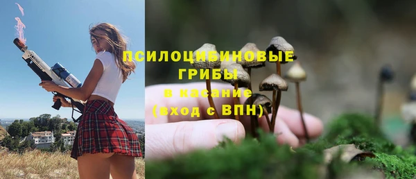 гашик Алексин