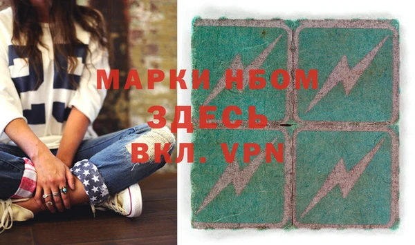 гашик Алексин