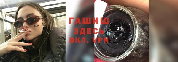 гашик Алексин