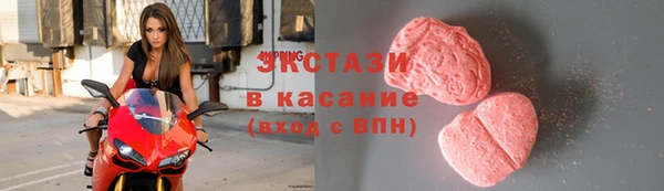 гашик Алексин