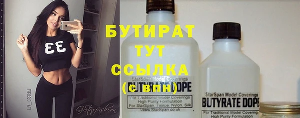 гашик Алексин