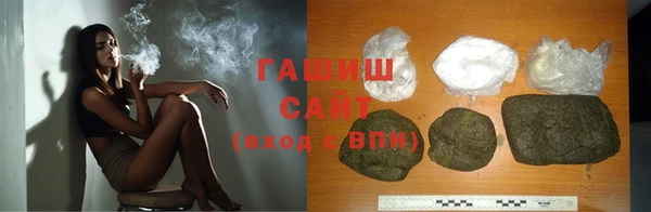 гашик Алексин