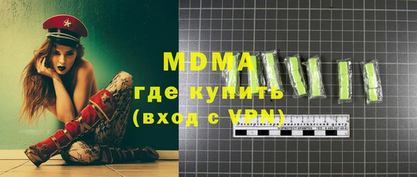 гашик Алексин